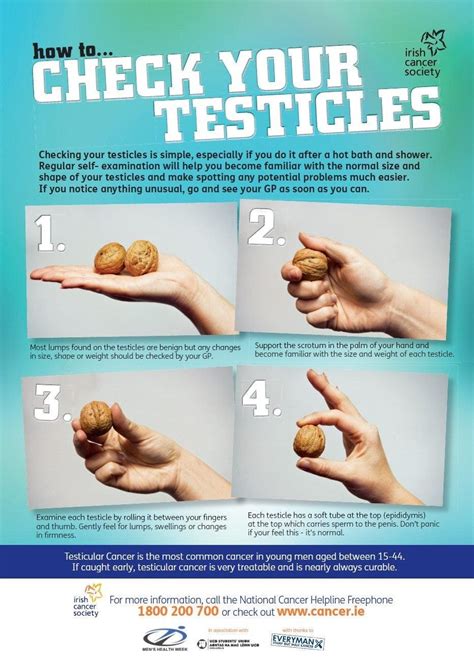 can testicles be tanned.